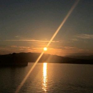 Meet your Posher, Irene